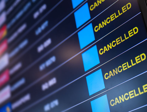 Flight cancellations: ‘staycation’ bookings surge as airport chaos continues