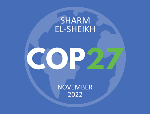 COP27: aiming for net zero